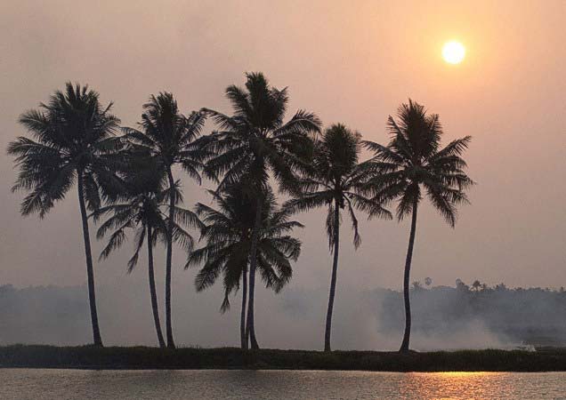 Kerala Sun