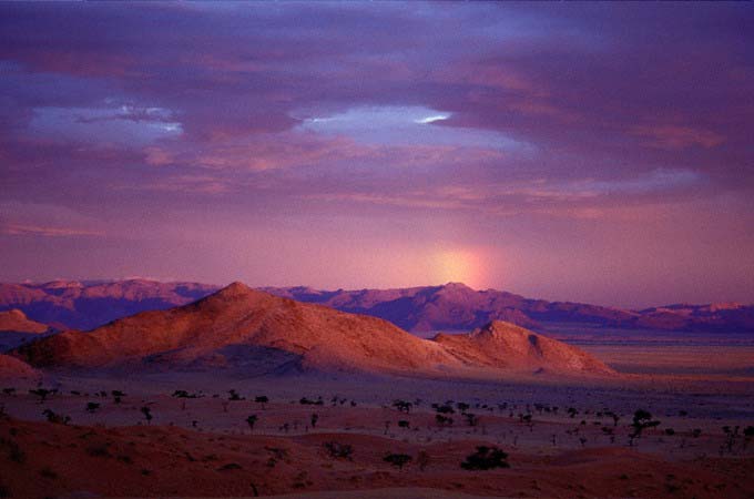 Rain in the Namib